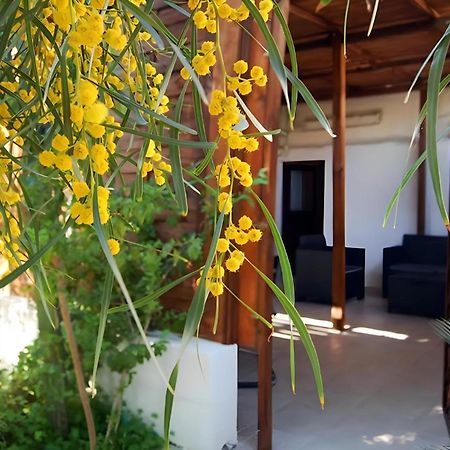 Sea Breeze Villa - Sole Apartment Бари Экстерьер фото